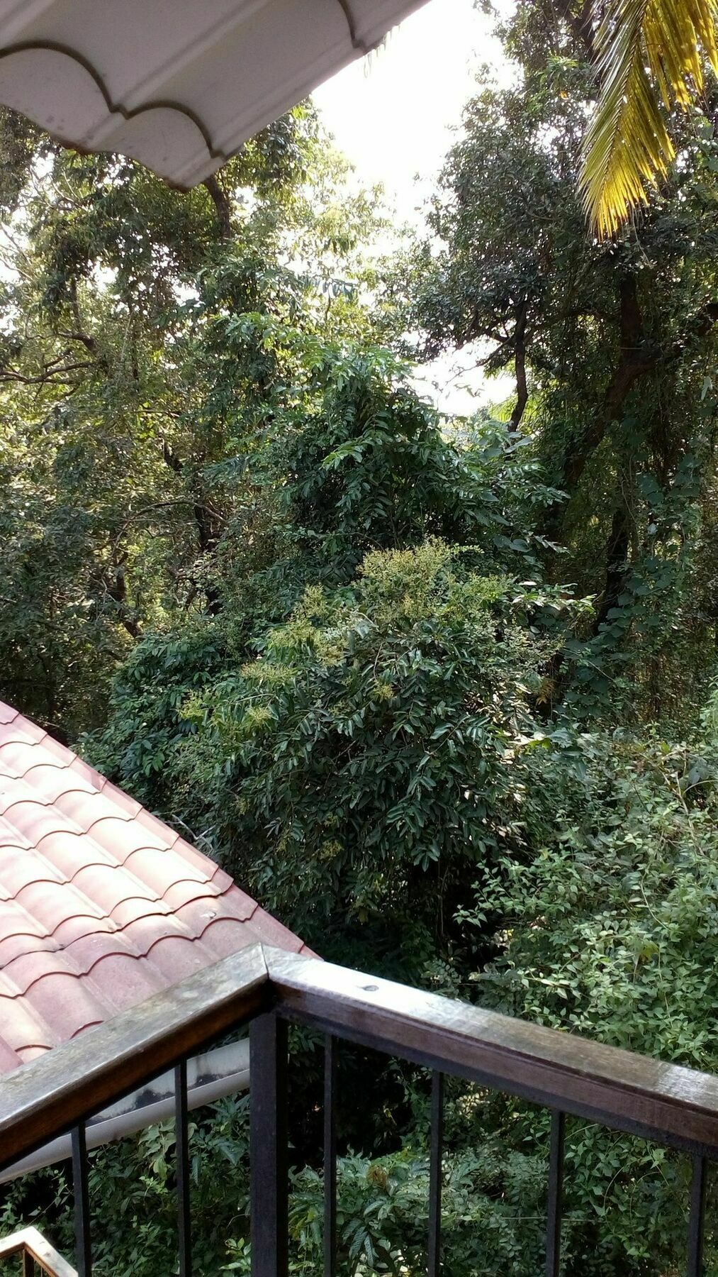 Castle House Palolem Hotel Canacona Exterior foto